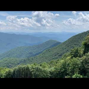 Meet your Posher, Molly